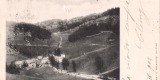 cartolina-2