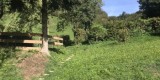 Giardino-1